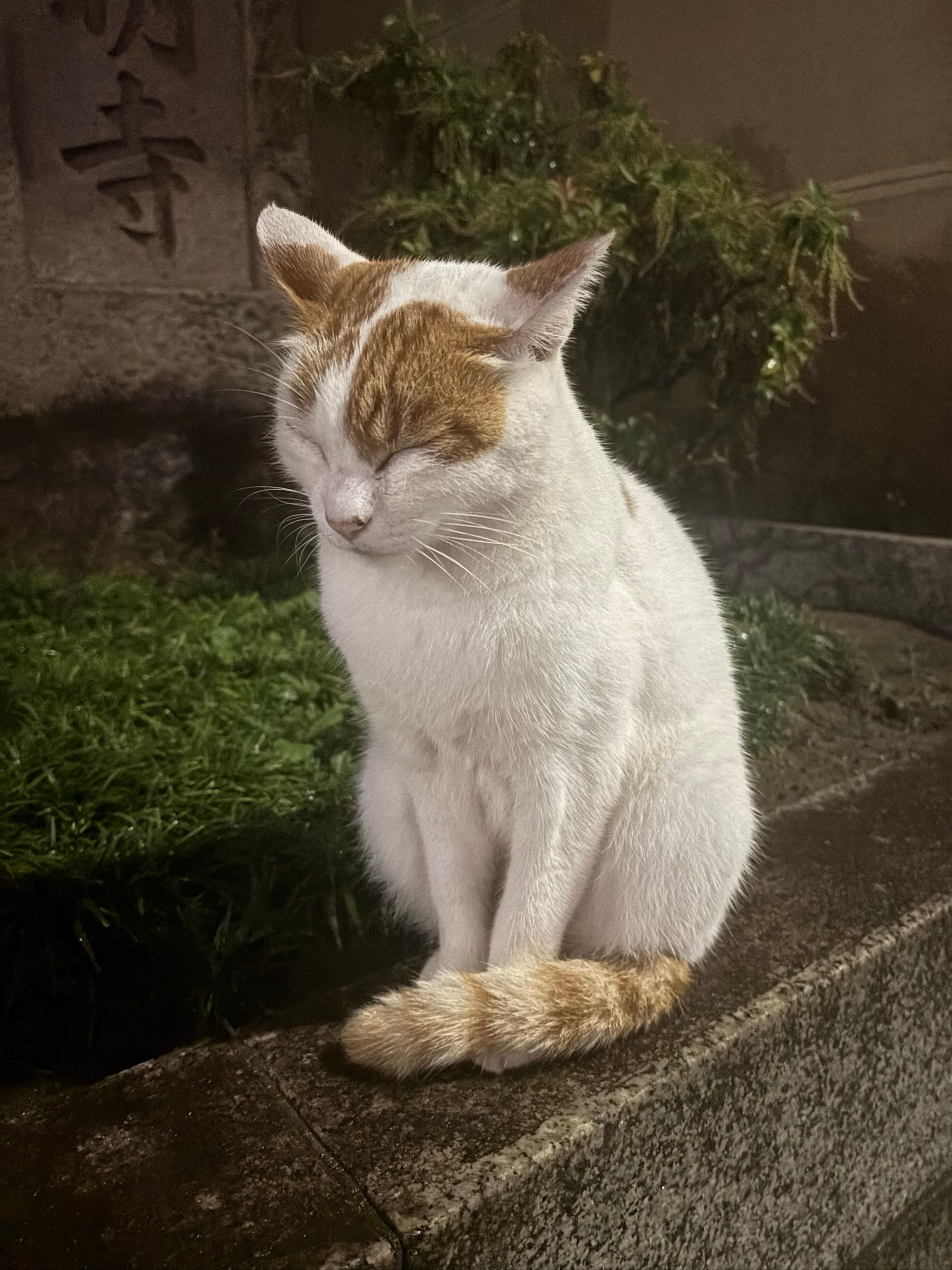 Test